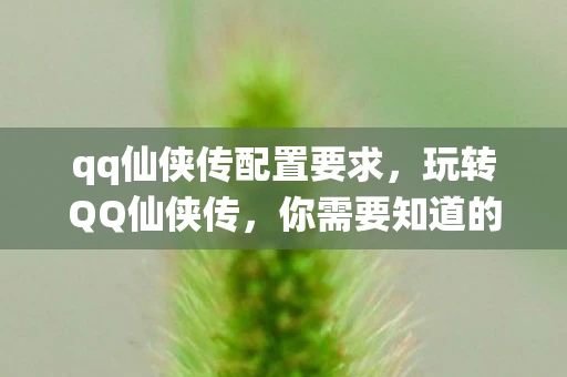 qq仙侠传配置要求，玩转QQ仙侠传，你需要知道的配置要求