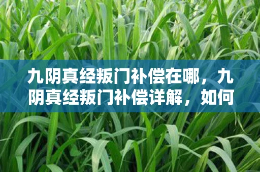 九阴真经叛门补偿在哪，九阴真经叛门补偿详解，如何最大化利益？