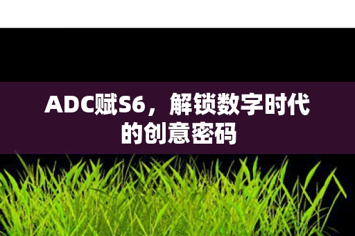 ADC赋S6,解锁数字时代的创意密码 ADC赋S6,解锁数字时代的创意密码