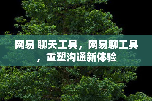 网易 聊天工具，网易聊工具，重塑沟通新体验