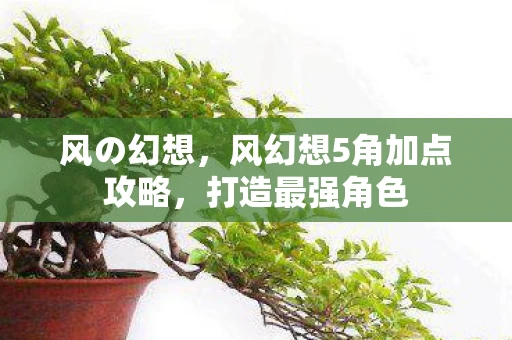 风の幻想，风幻想5角加点攻略，打造最强角色