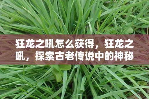 狂龙之吼怎么获得，狂龙之吼，探索古老传说中的神秘生物