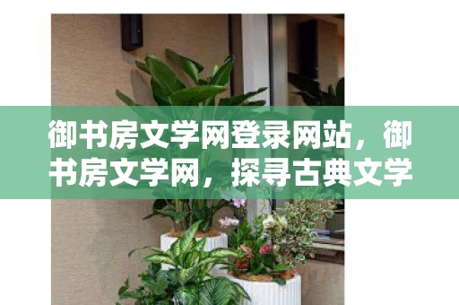 御书房文学网登录网站，御书房文学网，探寻古典文学的瑰宝