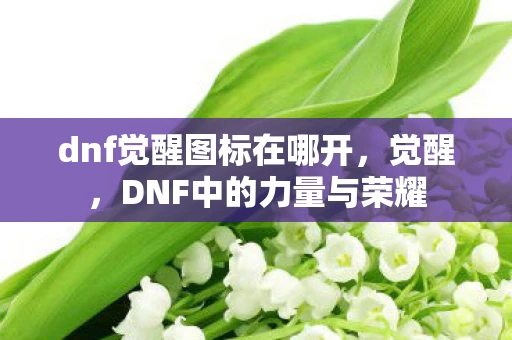 dnf觉醒图标在哪开，觉醒，DNF中的力量与荣耀