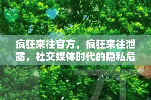 疯狂来往官方,疯狂来往泄露,社交媒体时代的隐私危机 疯狂来往官方,疯狂来往泄露,社交媒体时代的隐私危机
