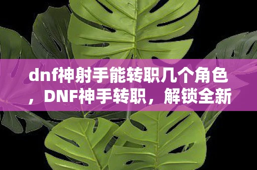 dnf神射手能转职几个角色，DNF神手转职，解锁全新战斗体验