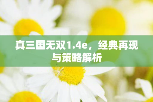 经典再现与策略解析图片