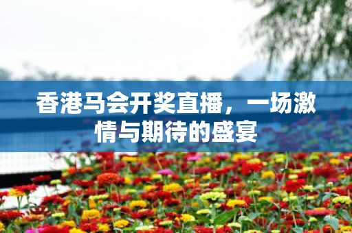 香港马会开奖直播，一场激情与期待的盛宴