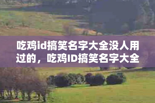 吃鸡id搞笑名字大全没人用过的，吃鸡ID搞笑名字大全