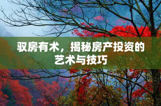驭房有术，揭秘房产投资的艺术与技巧