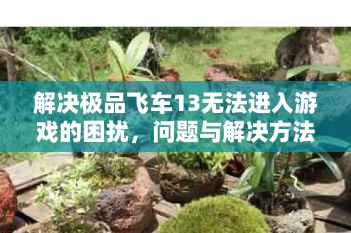 解决极品飞车13无法进入游戏的困扰图片