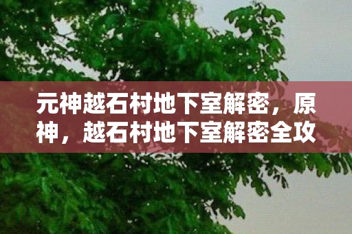 元神越石村地下室解密，原神，越石村地下室解密全攻略