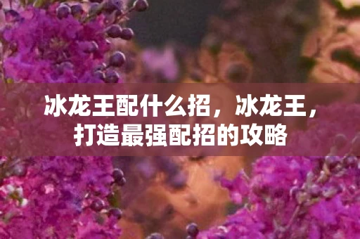 冰龙王配什么招，冰龙王，打造最强配招的攻略