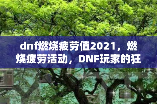 dnf燃烧疲劳值2021，燃烧疲劳活动，DNF玩家的狂欢盛宴