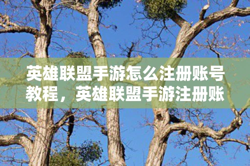 英雄联盟手游怎么注册账号教程,英雄联盟手游注册账号全攻略 英雄联盟手游怎么注册账号教程,英雄联盟手游注册账号全攻略