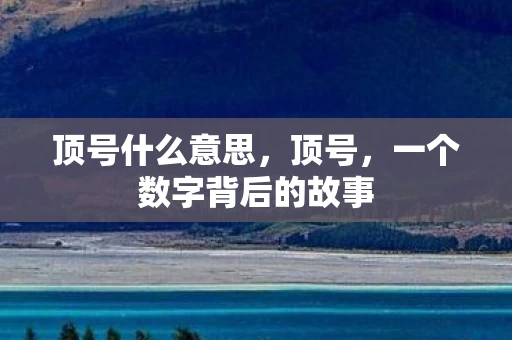 顶号什么意思，顶号，一个数字背后的故事