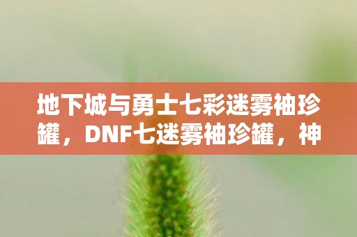 地下城与勇士七彩迷雾袖珍罐，DNF七迷雾袖珍罐，神秘宝藏的揭秘之旅