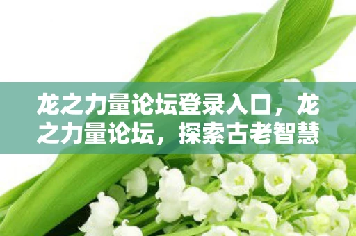 龙之力量论坛登录入口，龙之力量论坛，探索古老智慧的现代启示