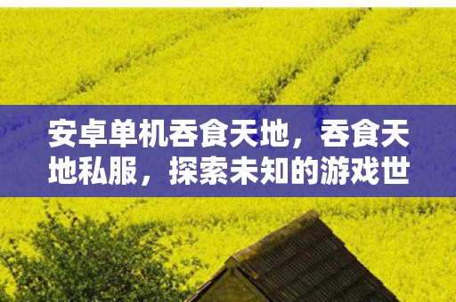 安卓单机吞食天地，吞食天地私服，探索未知的游戏世界