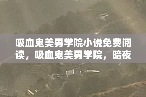 吸血鬼美男学院小说免费阅读，吸血鬼美男学院，暗夜中的神秘学府