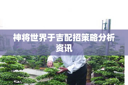 神将世界于吉配招策略分析资讯图片