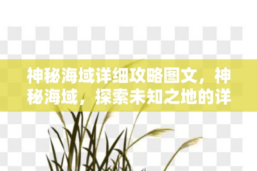 神秘海域详细攻略图文,神秘海域,探索未知之地的详细攻略 神秘海域详细攻略图文,神秘海域,探索未知之地的详细攻略