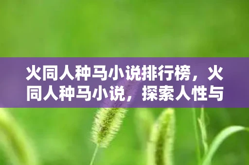 火同人种马小说排行榜,火同人种马小说,探索人性与欲望的边界 火同人种马小说排行榜,火同人种马小说,探索人性与欲望的边界