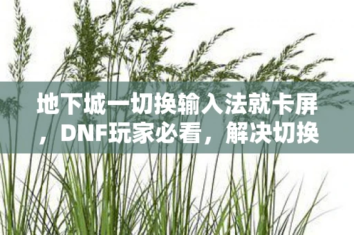 地下城一切换输入法就卡屏，DNF玩家必看，解决切换输入法导致游戏卡顿的实用技巧