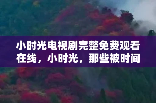 小时光电视剧完整免费观看在线，小时光，那些被时间遗忘的温暖片段