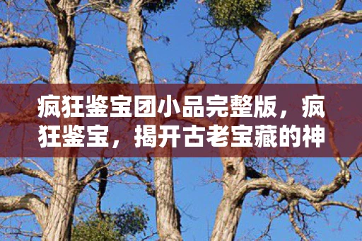 疯狂鉴宝团小品完整版,疯狂鉴宝,揭开古老宝藏的神秘面纱 疯狂鉴宝团小品完整版,疯狂鉴宝,揭开古老宝藏的神秘面纱