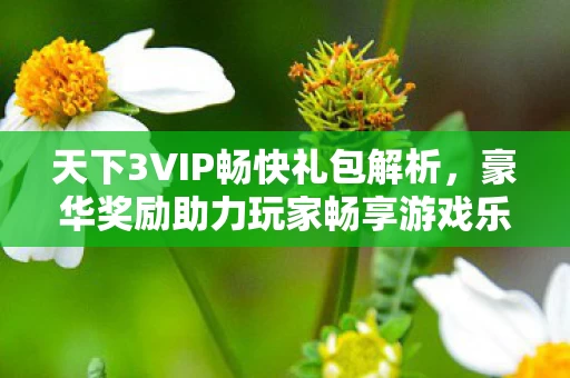 豪华奖励助力玩家畅享游戏乐趣图片
