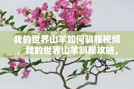 我的世界山羊如何驯服视频，我的世界山羊驯服攻略，轻松掌握驯服技巧