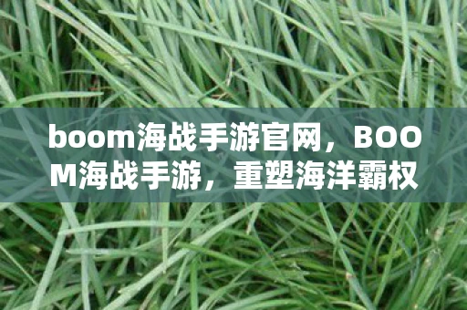 boom海战手游官网，BOOM海战手游，重塑海洋霸权的激情对决