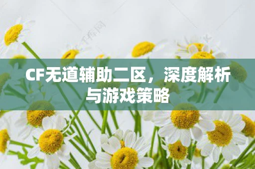 深度解析与游戏策略图片