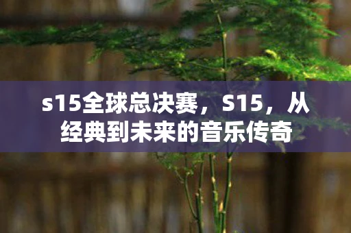 s15全球总决赛，S15，从经典到未来的音乐传奇