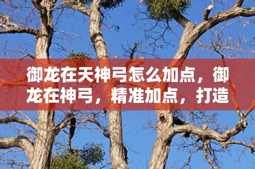 御龙在天神弓怎么加点，御龙在神弓，精准加点，打造无敌战力