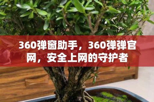 360弹窗助手,360弹弹官网,安全上网的守护者 360弹窗助手,360弹弹官网,安全上网的守护者