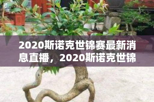 2020斯诺克世锦赛最新消息直播,2020斯诺克世锦赛最新消息,传奇与未来的碰撞 2020斯诺克世锦赛最新消息直播,2020斯诺克世锦赛最新消息,传奇与未来的碰撞