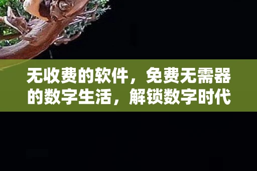 无收费的软件，免费无需器的数字生活，解锁数字时代的便捷与自由