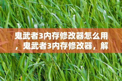 鬼武者3内存修改器怎么用，鬼武者3内存修改器，解锁游戏潜能的必备工具