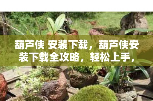 葫芦侠 安装下载，葫芦侠安装下载全攻略，轻松上手，玩转应用！