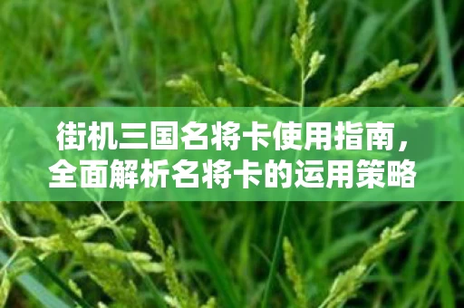 全面解析名将卡的运用策略图片