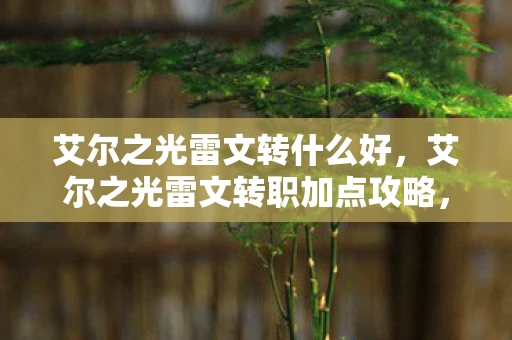 艾尔之光雷文转什么好,艾尔之光雷文转职加点攻略,打造最强战斗法师 艾尔之光雷文转什么好,艾尔之光雷文转职加点攻略,打造最强战斗法师