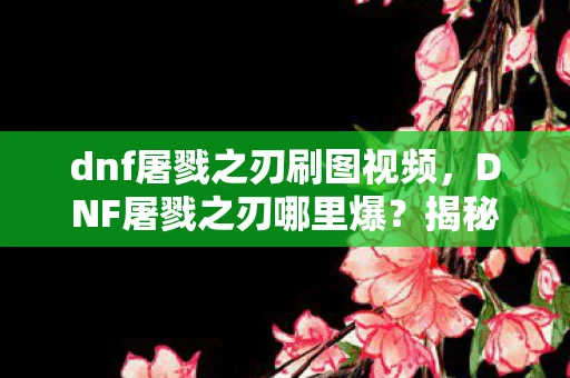 dnf屠戮之刃刷图视频，DNF屠戮之刃哪里爆？揭秘最全掉落地点！