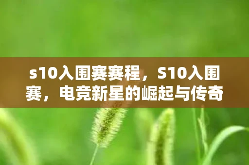 s10入围赛赛程，S10入围赛，电竞新星的崛起与传奇战队的回归