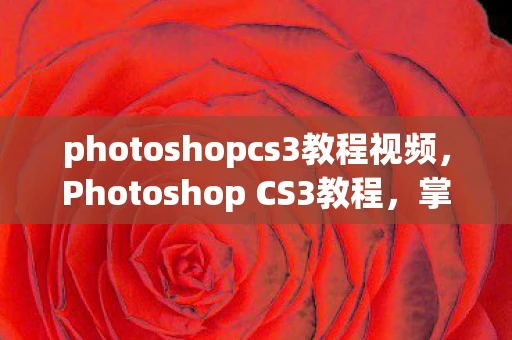 photoshopcs3教程视频，Photoshop CS3教程，掌握经典版图像处理软件