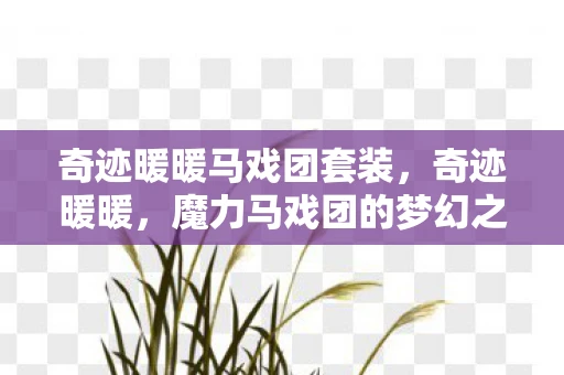 奇迹暖暖马戏团套装，奇迹暖暖，魔力马戏团的梦幻之旅