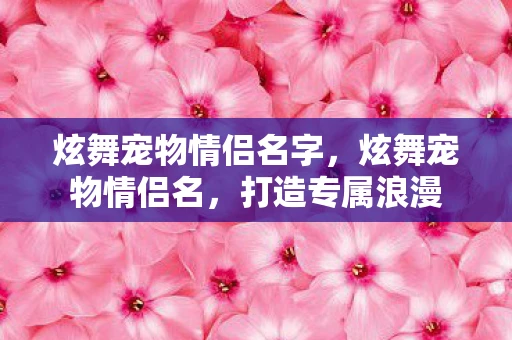 炫舞宠物情侣名字,炫舞宠物情侣名,打造专属浪漫 炫舞宠物情侣名字,炫舞宠物情侣名,打造专属浪漫