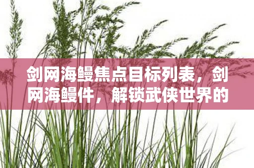 剑网海鳗焦点目标列表,剑网海鳗件,解锁武侠世界的神秘钥匙 剑网海鳗焦点目标列表,剑网海鳗件,解锁武侠世界的神秘钥匙