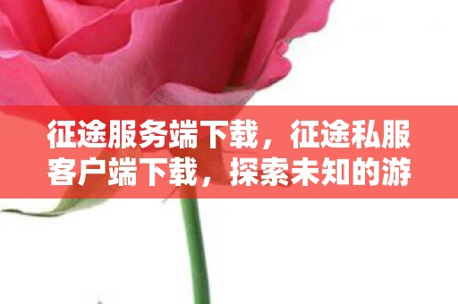 征途服务端下载,征途私服客户端下载,探索未知的游戏世界 征途服务端下载,征途私服客户端下载,探索未知的游戏世界